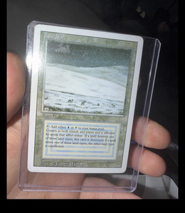 Magic The Gathering Tundra | eBay