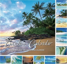 2026 Wall Calendar - Calendar 2026: January 2026 - December 2026, 12" x 24" (Ope