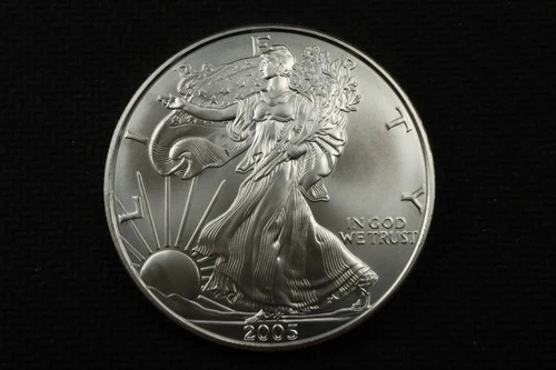 NobleSpirit Gem BU 2005 American Eagle 1oz Silver Round