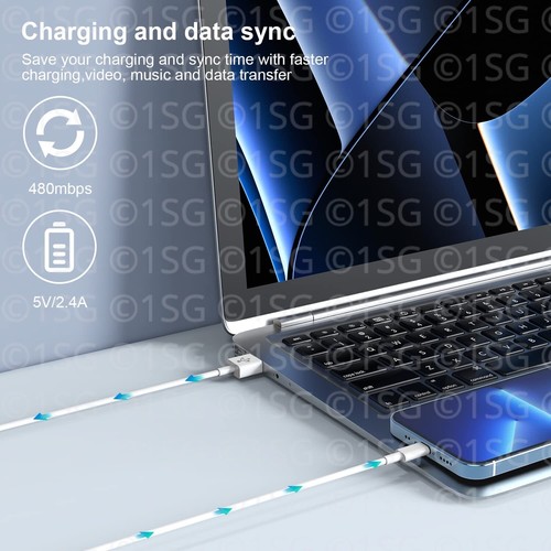 Fast Charger sync USB cable for Apple iPhone 5 6 7 8 X XS XR 11 12 13 Pro iPad - 第 5/6 張圖片