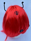 Bild 6 von 10