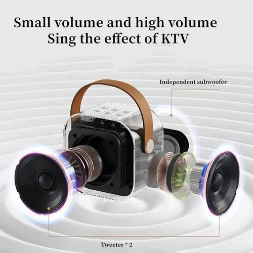 Mini Karaoke Maschine Tragbarer Bluetooth Lautsprecher mit 2 Drahtlosen Mikrofonen Geschenk - Bild 3 von 19