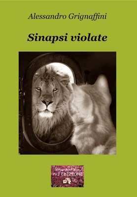 Libri Alessandro Grignaffini - Sinapsi Violate. La Mutevole Instabilita Della Ra