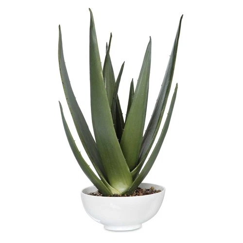 Evarado - 30 inch Aloe Planter Accessories Uttermost 60177 - Picture 1 of 5