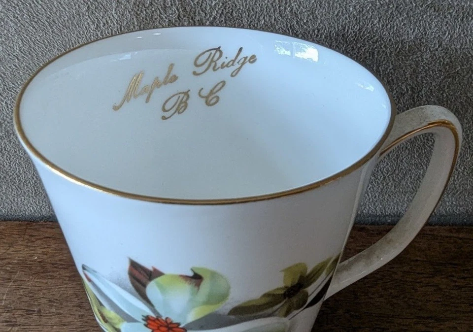 Royal Windsor Fine Bone China England Tall Coffee Mug, Maple Ridge BC Dogwood - Image 3 of 4