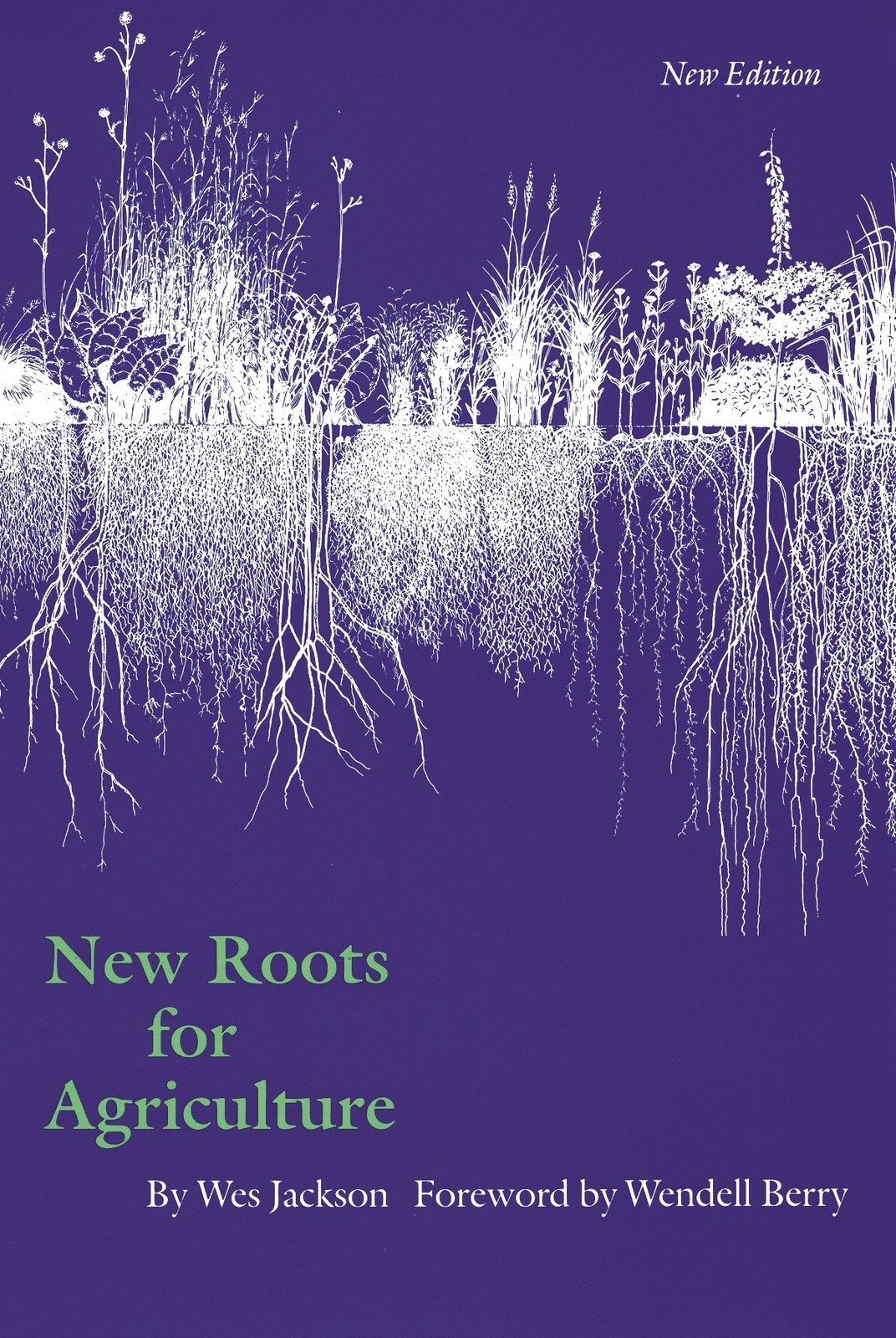 New Roots for Agriculture Jackson Berry Paperback 9780803275621