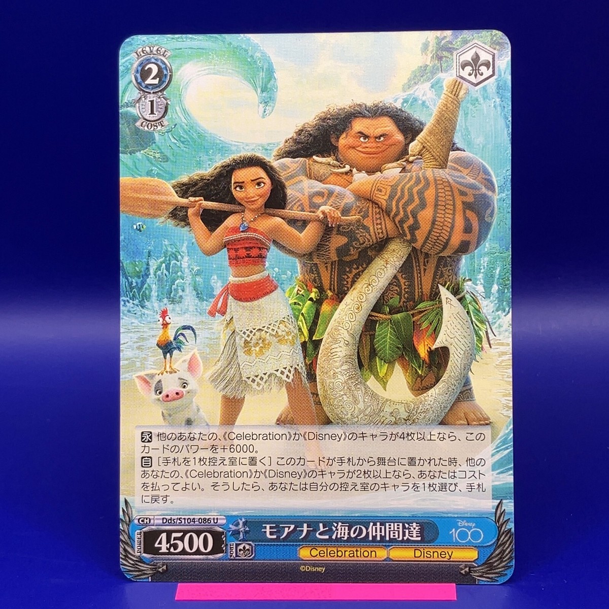 ニュージランド オークランド博物館 ヴァカ・モアナ（Vaka Moana） 図録 Vaka Moana, Voyages of the Ancestors: The Discovery and