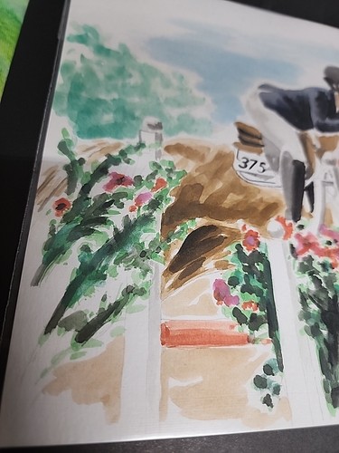 Watercolor 2014 D'Obstacle Horse Sandcastles Caleb ? - Afbeelding 5 van 7