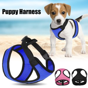 puppy leash and collar set