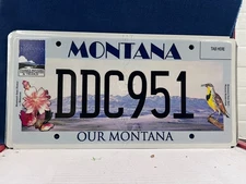 OUR MONTANA   MONTANA LICENSE PLATE
