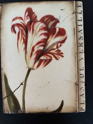 Sid Dickens Memory Block T-145 Versailles Tulip