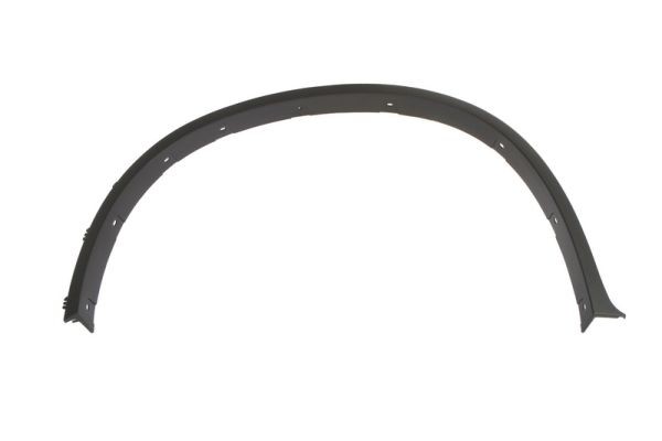 Left Front BLIC 5703-04-0099421P Trim/Protection Strip, wing for BMW