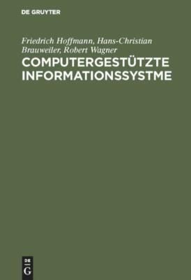 Computergestützte Informationssystme | Buch | 9783486232745