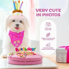 Pet Dog Birthday Party Banner Supplies Bandana Hat Bow Tie Set Decorations