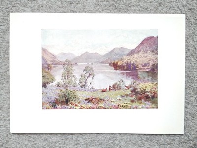 Ullswater, aus Gowbarrow Park, Lake District - antiker Druck - 1908