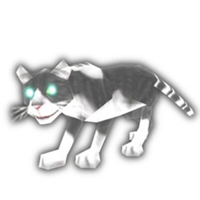 Widget the Departed   Wow   pet   US