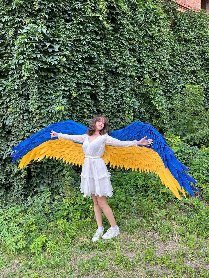 Dance Wings Belly Dance Fairy Costume Cosplay Bird CostumeFestival Fantasy Sexy - Image 4 of 4