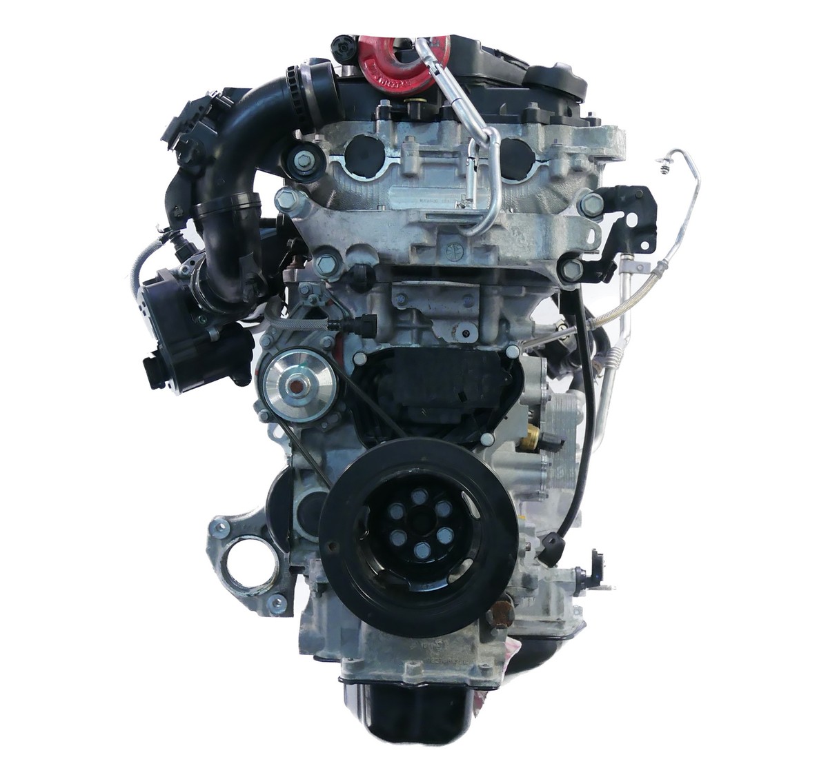 ぽんた s-l1200.jpg