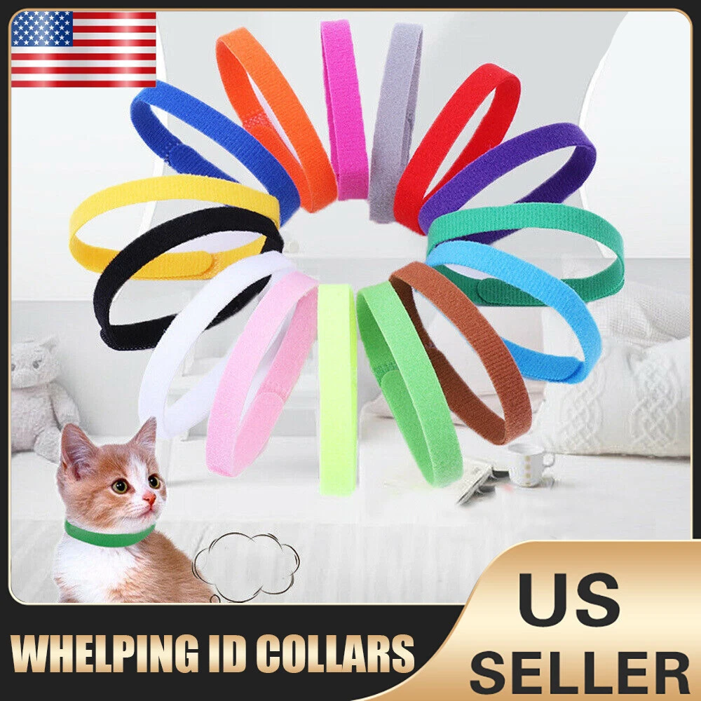 Kitten id sale bands