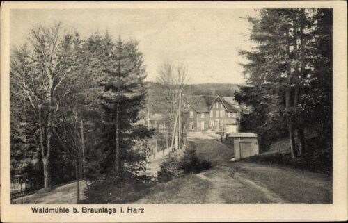 Ak Braunlage im Oberharz, Waldpartie mit Blick zur Waldmühle - 1946094 - Bild 1 von 2