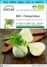 SAFLAX Kit cadeau - BIO - Fenouil doux - 100 graines - Foeniculum