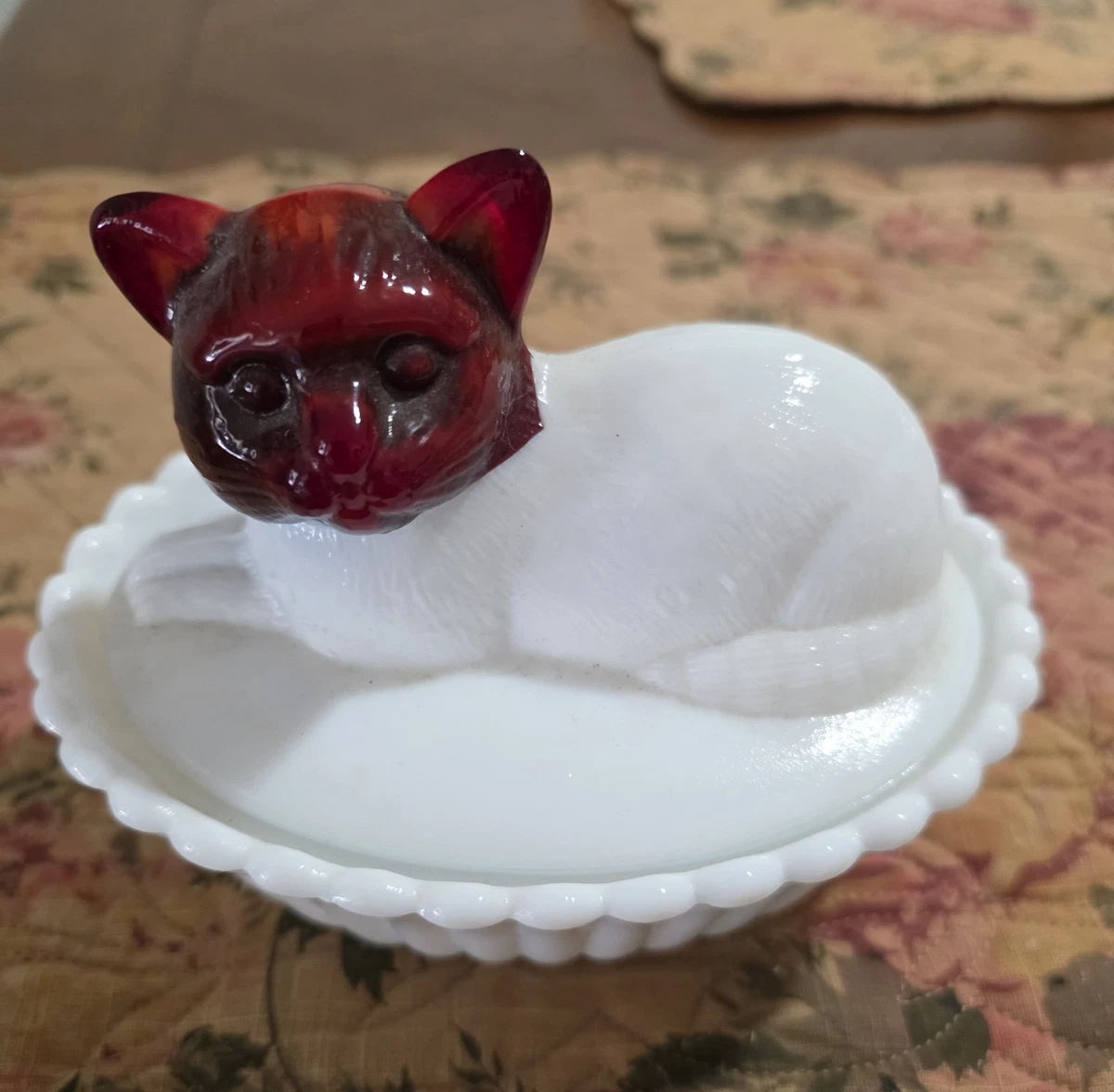 25+ westmoreland cat for sale | Updated Oct 2026