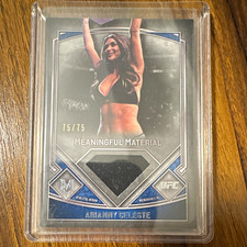 Arianny Celeste Cards and Autographed Memorabilia Guide 15