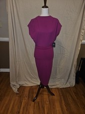 Express Sheath Dress