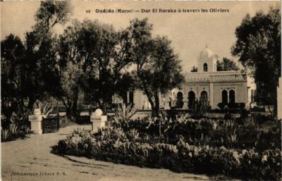 Old postcard AK MOROCCO OUDJDA Dar El Baraka through the Olives (720351)