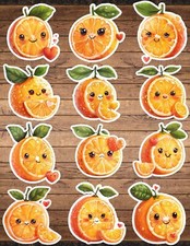 Kawaii Smiling Orange Die Cut Stickers Set Scrapbooking Laptop WaterBottle