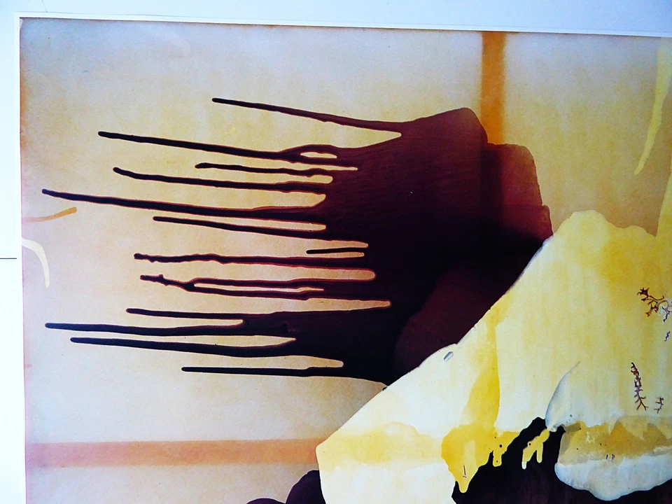 SIGMAR POLKE - "HYPERBORÄISCH" - FARBOFFSETLITHOGRAFIE - 2002 - SIGNIERT!!! - Bild 2 von 4