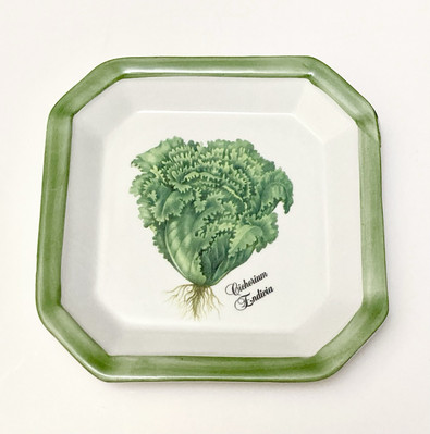 Ceramica Due Torri Ceramica Octagon Square Salad Plate 8  Green Lettuce ITALY