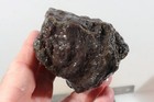 Turkey Stick Agate 15.1 oz lapidary rough lot Nq (Thunderegg Core) — photo 7