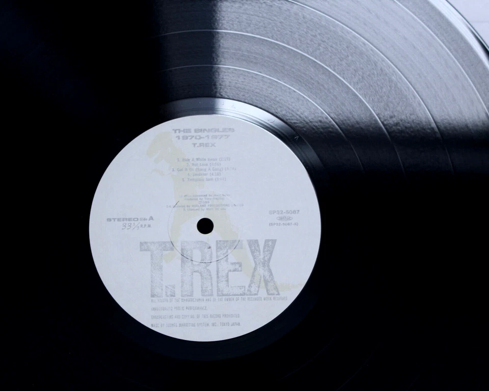 T REX VINYL LP WARHOL STYLE POP ART COVER N.MINT T.REX T-REX RARE - Image 3 of 4