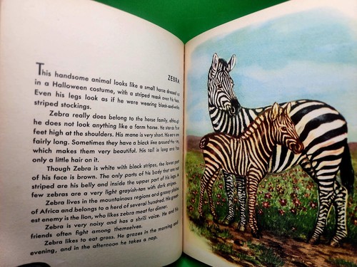 Vtg. "Wild Animals", A Rand McNally Book 1951 Vtg. Children's Hardcover - Imagen 8 de 14