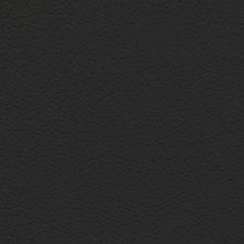 Nissan Charcoal Leather Dye