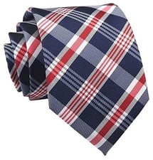 Vizakiss Men's Stripe Plaid Ties Floral Pattern One Size Red Blue White