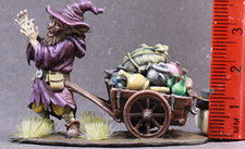 Hand Painted Dungeons and Dragons Meshy Wande...