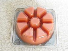 Partylite Spiced Pumpkin Scent Plus Melts 9 pc -- NIB