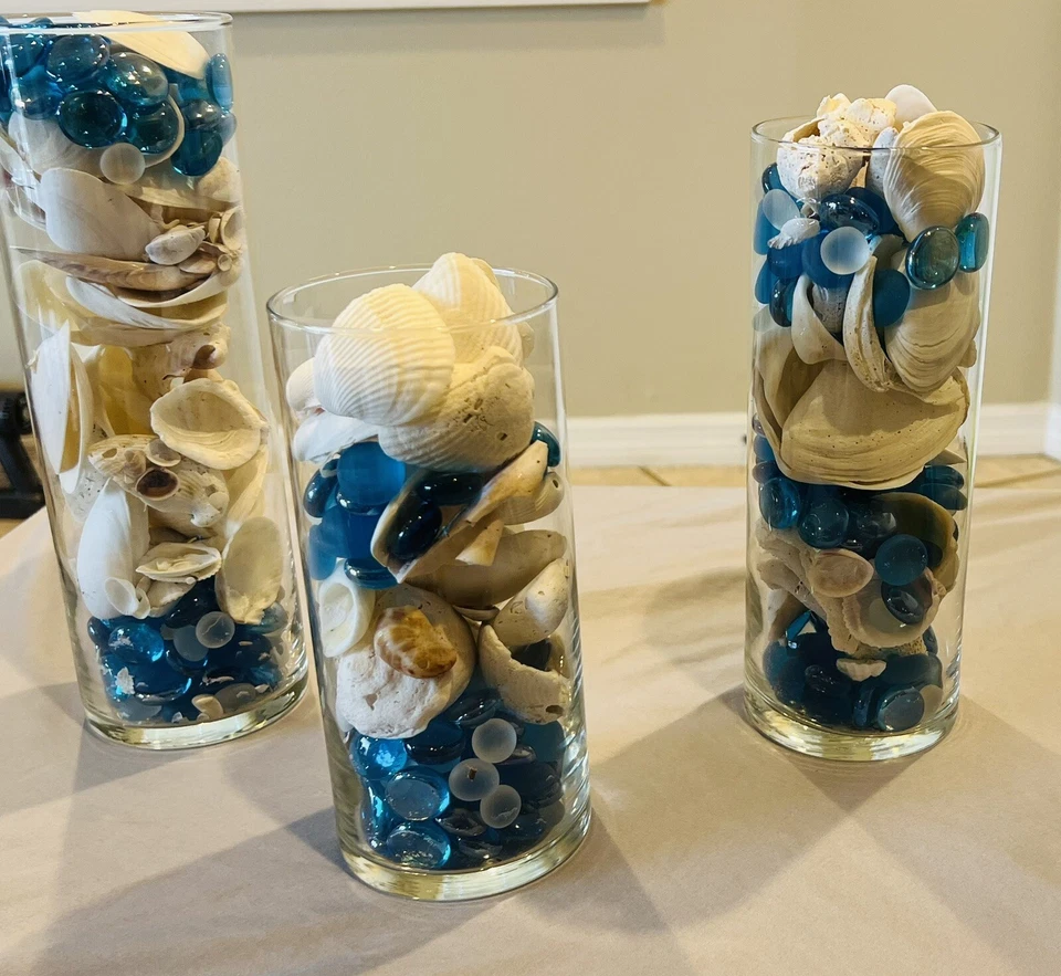Florida Seashells Juego de 3 jarrones de vidrio llenos de conchas de la Costa del Golfo Decoración del hogar Foto 3 de 4