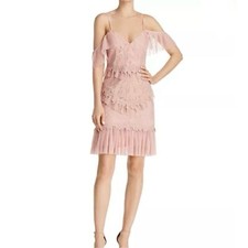 Bardot Valorie Lace Tulle Dress Women’s Size 8/M Pleated Tiered Pink Sheath