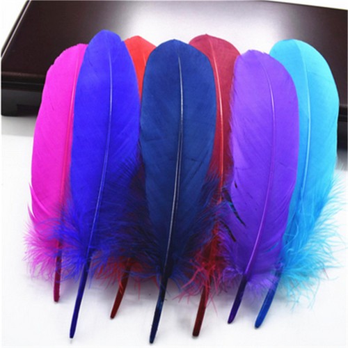 Großhandel harte Stange natürliche Gänsefedern zum Basteln Federn 5-7 Zoll/13-18 cm - Bild 1 von 22