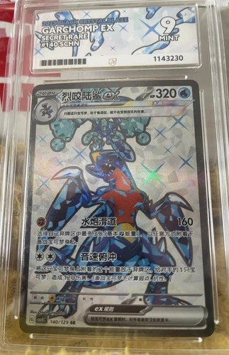2025 black crystal blaze Garchomp Ex #140 - CHNE -Ace Grading 9