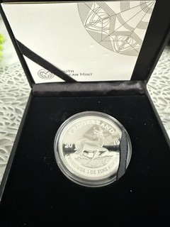 Südafrika Krügerrand 2019 1 oz Fine Silver Silber Münze Polierte Platte im Etui
