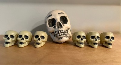 Miniature 2'' Plastic Skeleton Skulls w/5'' Skull Halloween Props Set of 7