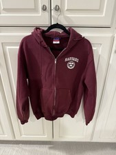 Vintage Y2K Harvard Hoodie Champion