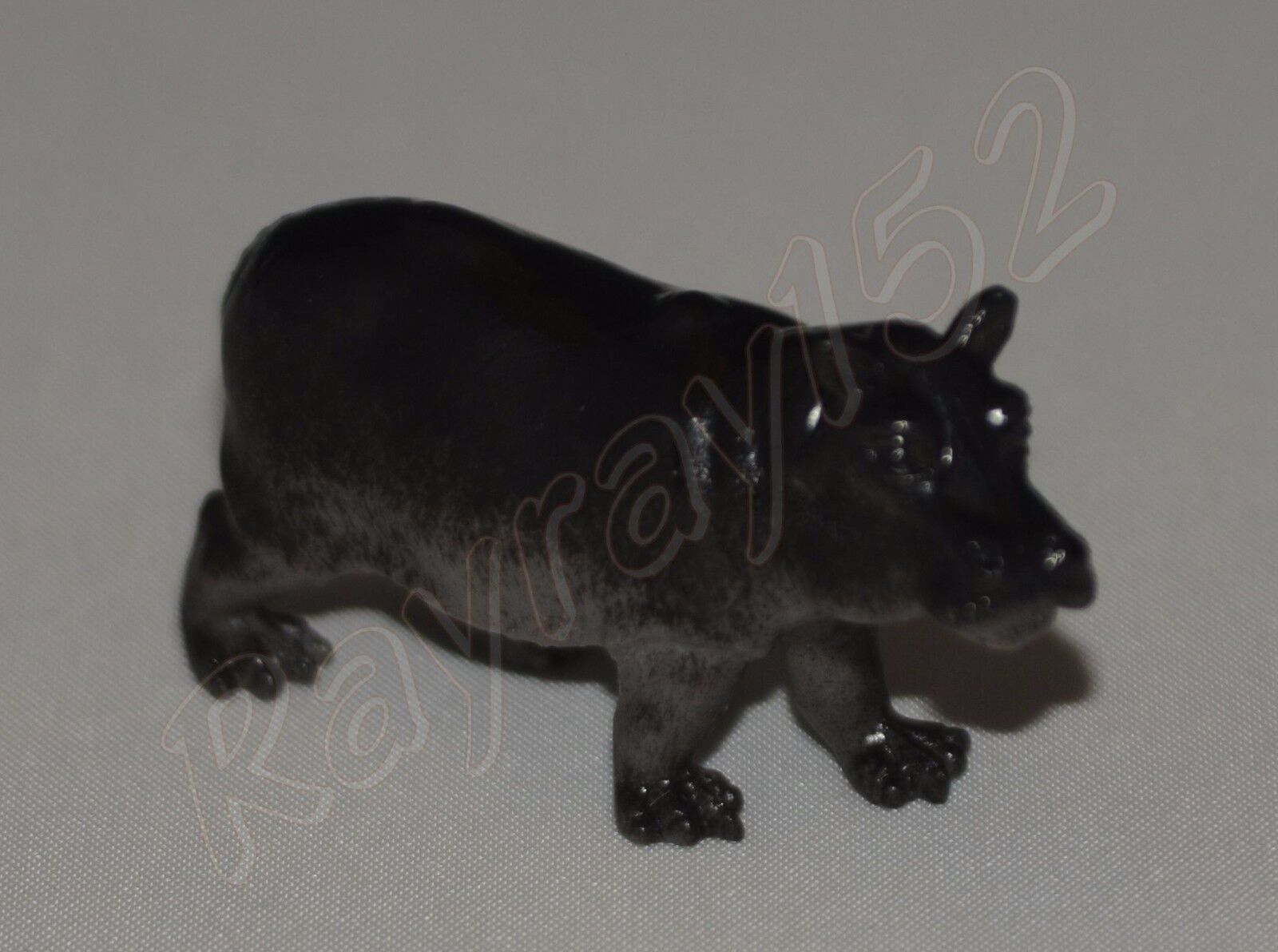 Picture 126 of 199