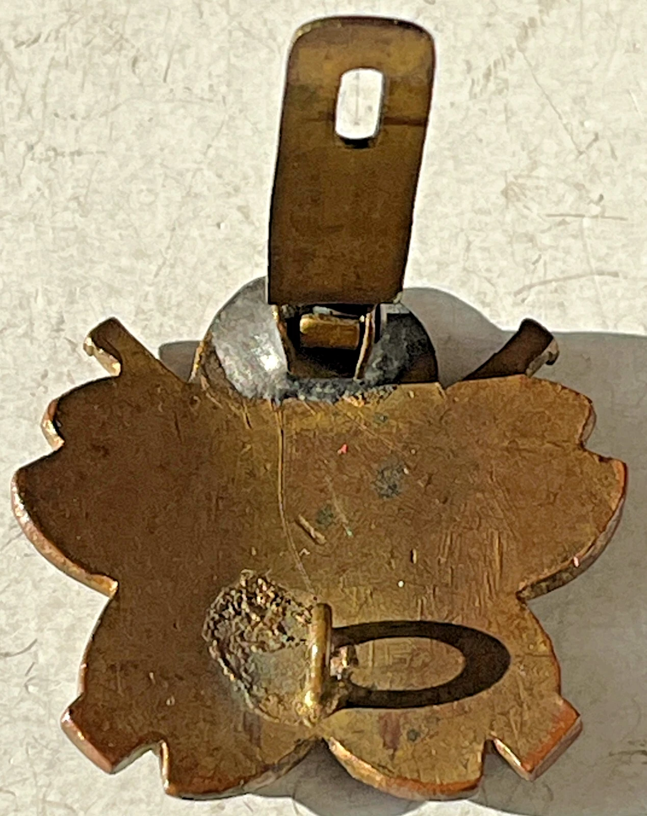 Picture 5 of 5