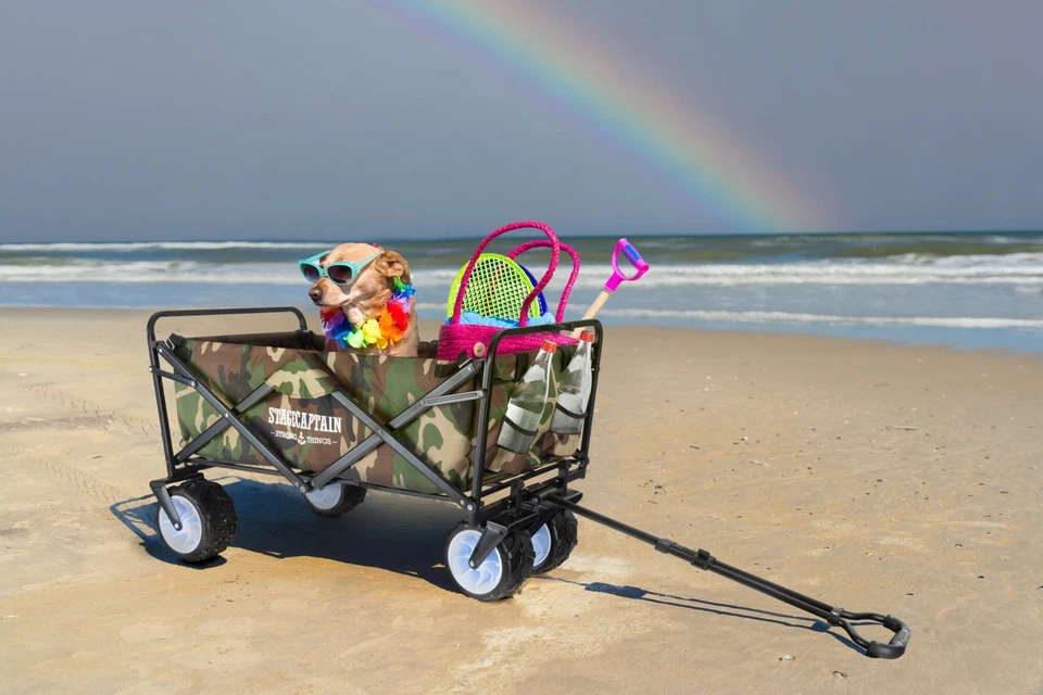 Bollerwagen Faltbollerwagen Handwagen faltbar klappbar Transportwagen Wagen Tarn - Bild 2 von 4