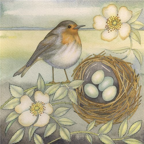 Robin - Fine Art Blank Greeting / Birthday Card - Garden Birds Nest Robins Eggs